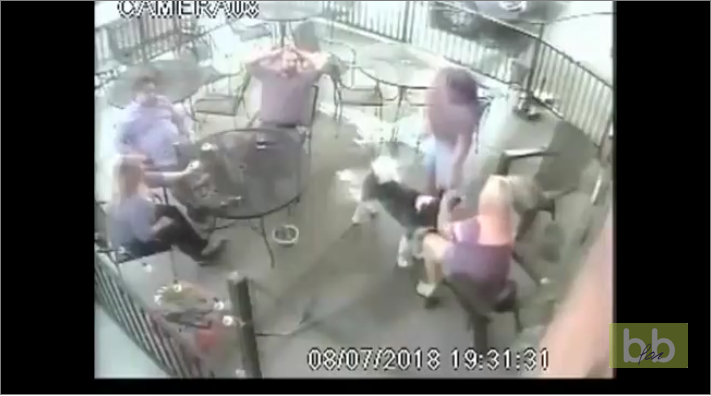 Voilà pourquoi il ne faut jamais faire un bisou à un chien que l’on ne connait pas