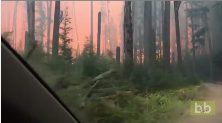 Rouler en plein feu de forêt aux États-Unis