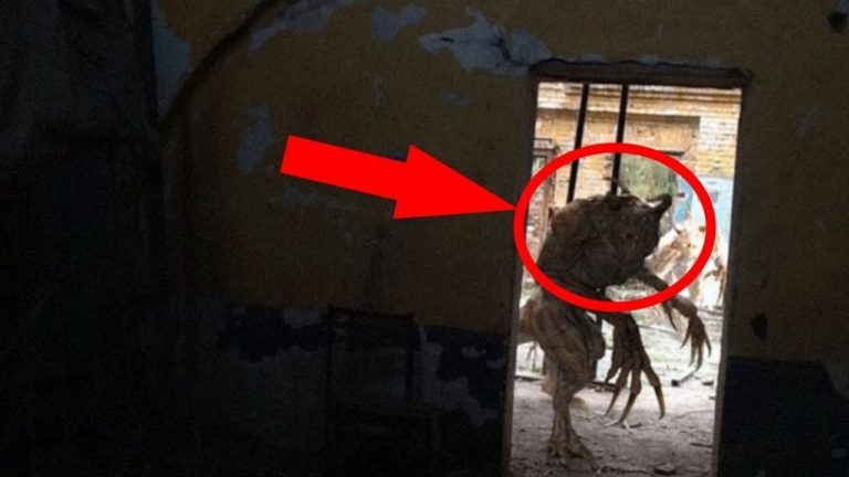 LES CRÉATURES les plus EFFRAYANTES FILMÉS en DIRECT