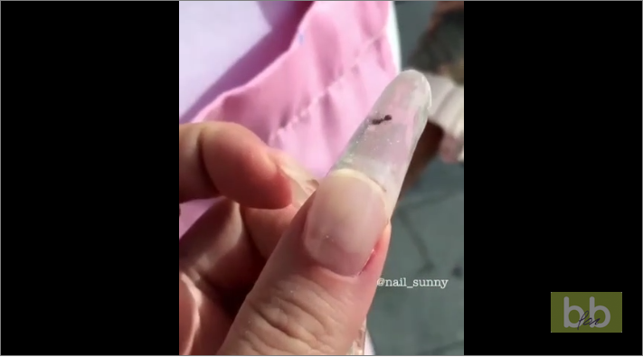 Ongle fourmi, la nouvelle tendance !