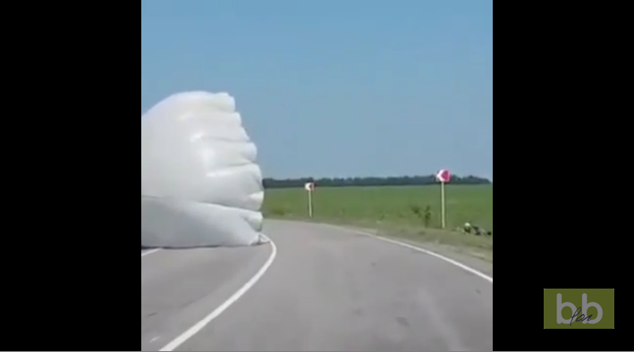 Des automobilistes voient une drôle de personne traverser la route devant eux…