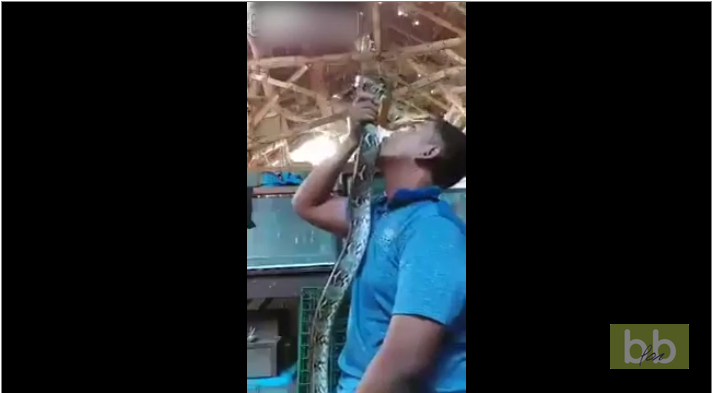 Un jeune garçon apprend qu’il ne faut pas trop jouer avec les serpents.