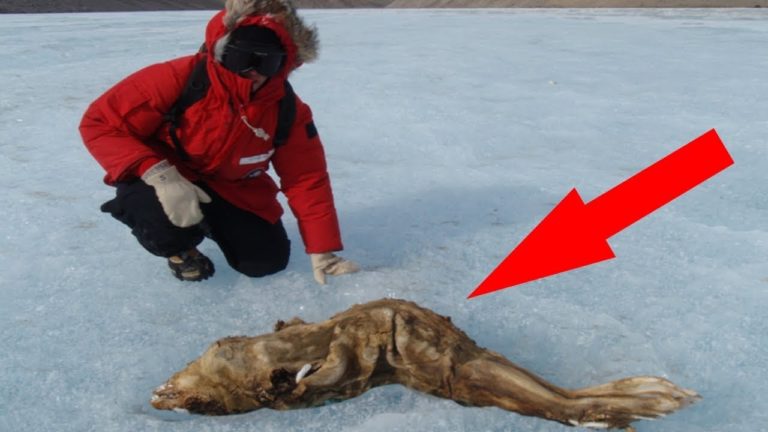 6 secrets Mystérieux et Inexpliqués de l&rsquo;Antarctique