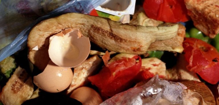 Quiz : Combien de nourriture chaque Français jette chaque semaine ?