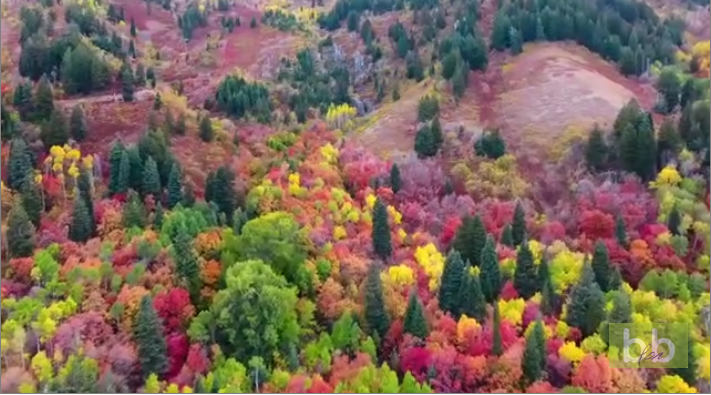 Magnifique vidéo des couleurs d&rsquo;automne dans l&rsquo;Utah