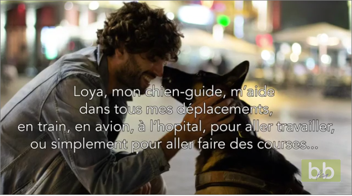 Un malvoyant et son chien-guide virés d&rsquo;un Monoprix à Marseille.