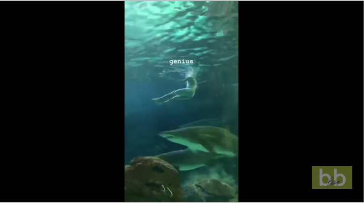 Un homme va nager tout nu avec les requins dans un aquarium au Canada