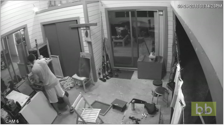 Il veut éloigner une guêpe en lui lançant son tournevis