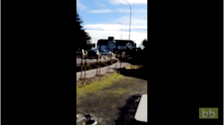 Une femme se moque de son mari gilet jaune qui manifeste.. Tout seul…