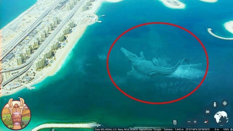 10 CRÉATURES DES PROFONDEURS CAPTURÉES SUR GOOGLE EARTH