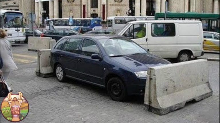 10 PERSONNES MAL GARÉES QUI L&rsquo;ONT PAYÉ CHER