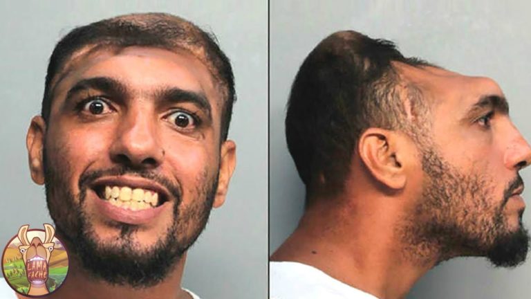 HISTOIRES VRAIES ET INCROYABLES DE PERSONNES QUI ONT SURVÉCU À L’IMPOSSIBLE