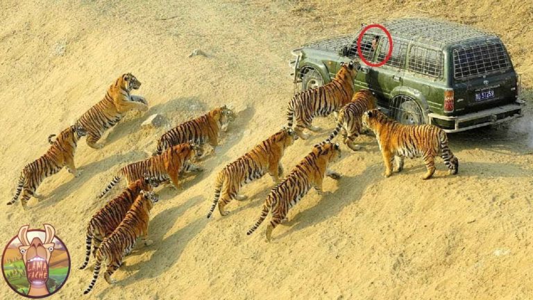 LES 10 EXCURSIONS LES PLUS DANGEREUSES DU MONDE