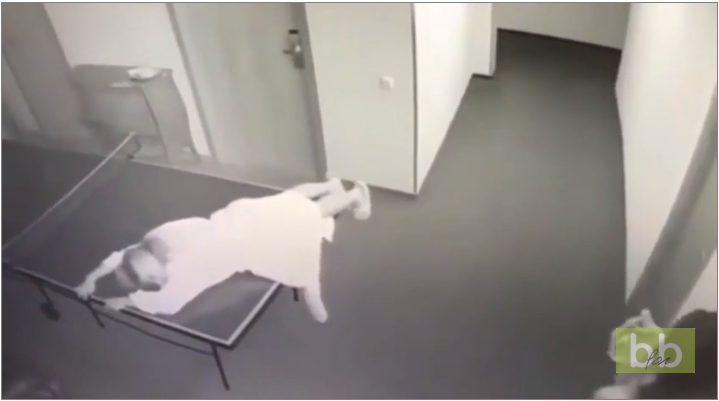 Quand deux filles veulent prendre un selfie sur une table de ping-pong