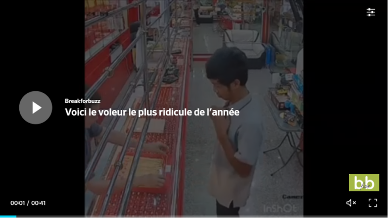 Voici le voleur le plus ridicule de l&rsquo;année