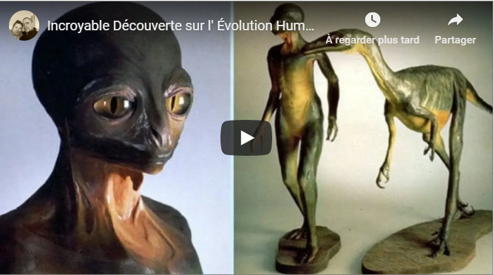 Incroyable découverte sur l&rsquo;Évolution Humaine