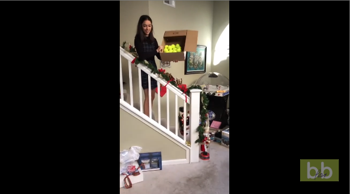 Un chien reçoit comme cadeau de Noël des balles de tennis