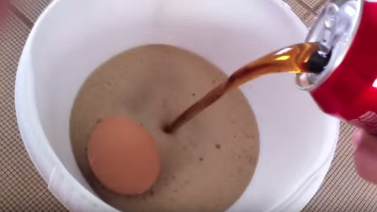 Il laisse un oeuf dans du Coca-Cola pendant 1 an expérience géniale !!