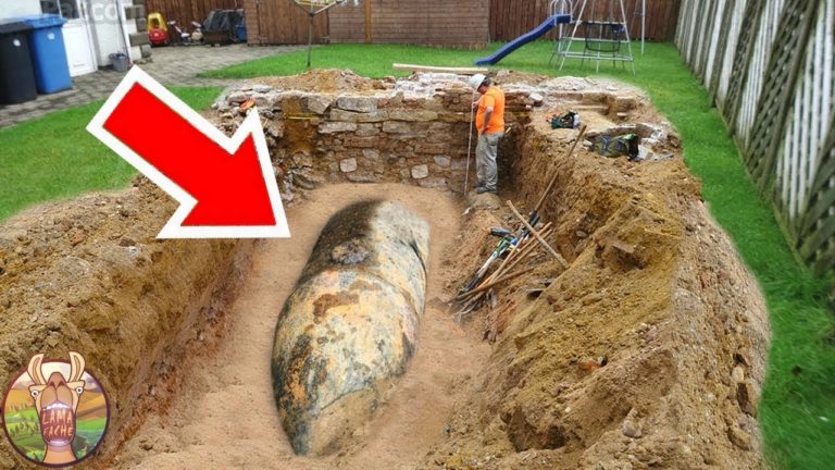 LES CHOSES LES PLUS BIZARRES QUE LES GENS ONT TROUVÉ DANS LEUR JARDIN