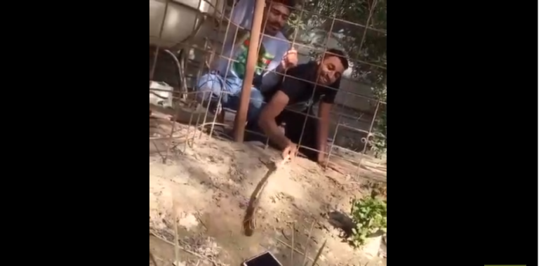 On a trouvé le mec le plus intelligent du monde