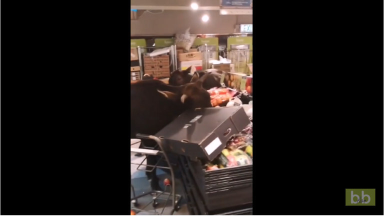 Pendant ce temps, voilà ce qu&rsquo;il ce passe à Hong Kong.