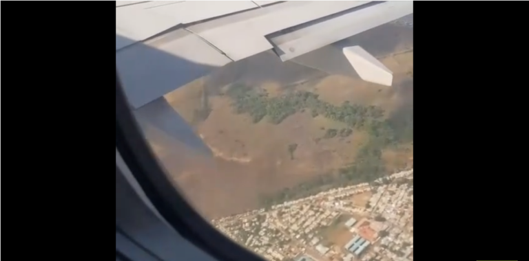 Un avion percute un oiseau en plein vol