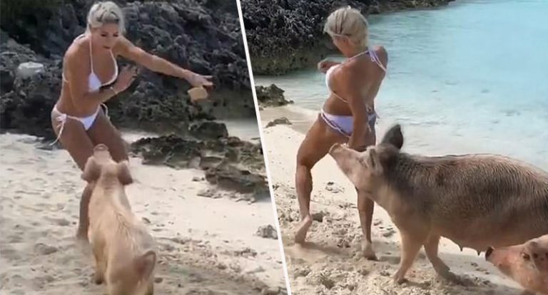 Cette top model Instagram se fait mordre aux fesses par un cochon