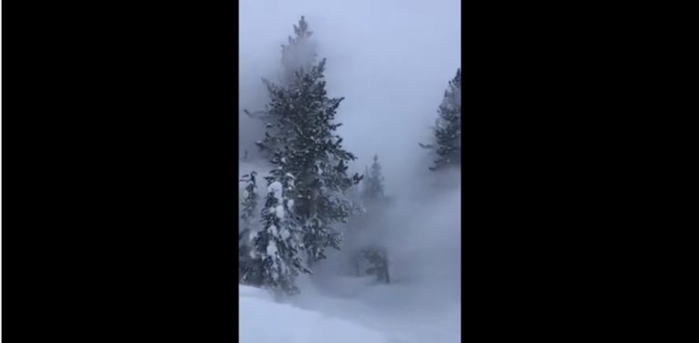 Déclenchement d&rsquo;une tornade dans la neige en pleine forêt !