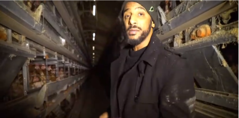 Stomy Bugsy s’infiltre dans un élevage de poules en cage pour dénoncer leurs conditions de vie