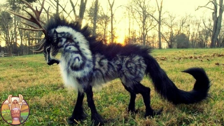 10 CRÉATURES MYTHIQUES QUI EXISTENT RÉELLEMENT