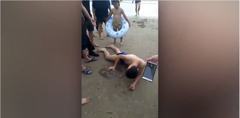 Ce touriste chinois vent de se faire piquer les parties intimes par une raie…
