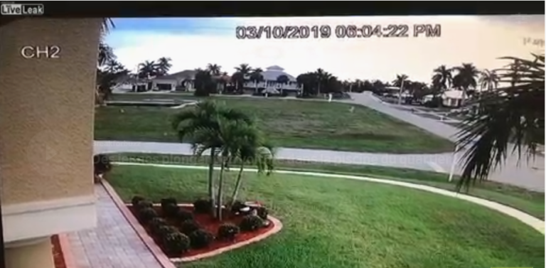 Des jeunes plongent en voiture dans la piscine du quartier !