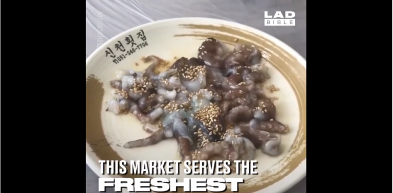 Voilà un bon repas en Corée du sud du poulpe vivant…