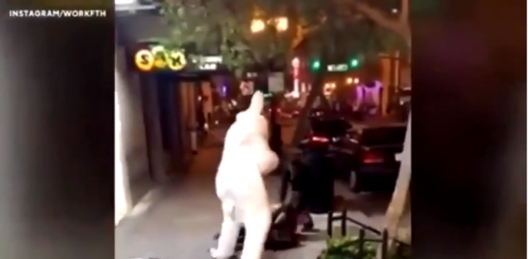 Déguisé en lapin de pâques il vient se mêler à une bagarre dans la rue
