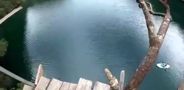 Il tente un saut du haut d’un arbre et se prend la gamelle de sa vie !