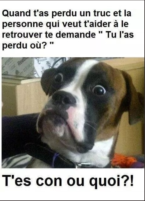 Mort de rire ! - Page 9 Image-dr%C3%B4le-du-jour-Quand-tas-perdu-un-truc%E2%80%A6