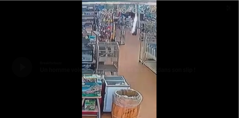 Un homme vole un python royal et le cache dans son slip !