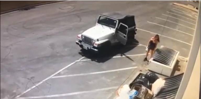 Une femme filmée en train de jeter des chiots dans une poubelle