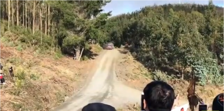 Le pilote de rallye Thierry Neuville rate son virage et part en tonneaux