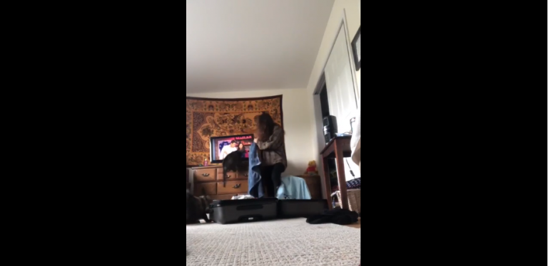 Un chat attaque une fille qui veut se cacher dans une valise