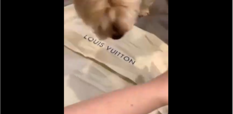 Une femme est toute heureuse de déballer son nouveau sac à main Louis Vuitton