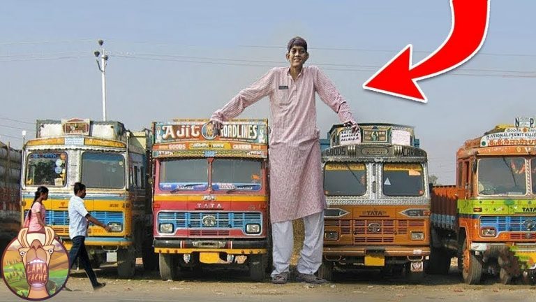 LES 10 HOMMES LES PLUS GRANDS DU MONDE