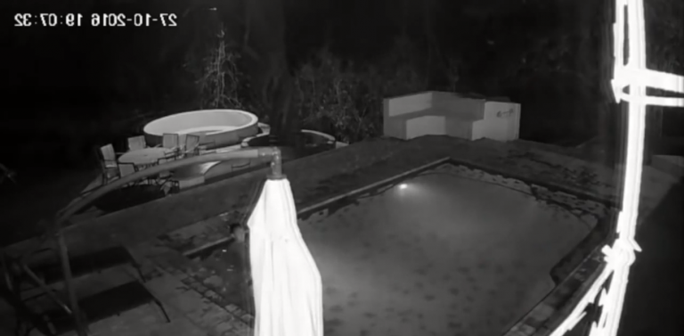 Un crocodile sort de nulle part et attaque un couple dans une piscine