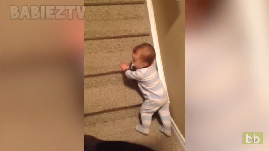 Vidéo Bébés drôles à mourir de rire (compilation vidéo drôle ...