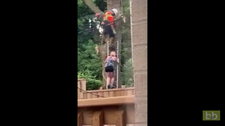 Ce bûcheron fait tomber sa tronçonneuse sur une femme qui lui tient l&rsquo;échelle
