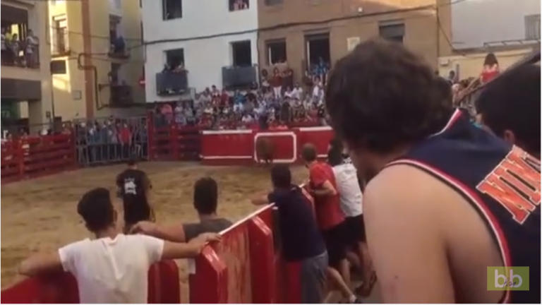 Il se cache derrière une barrière pour provoquer un taureau et se pense en sécurité