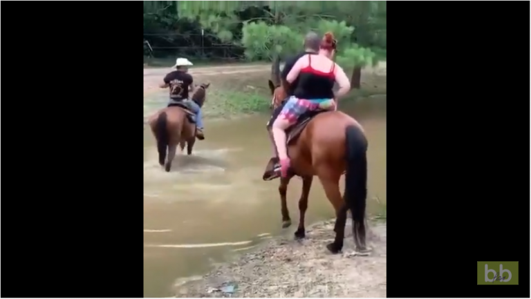 Quand un cheval n’arrive pas à supporter le poids d’un couple pour traverser une rivière