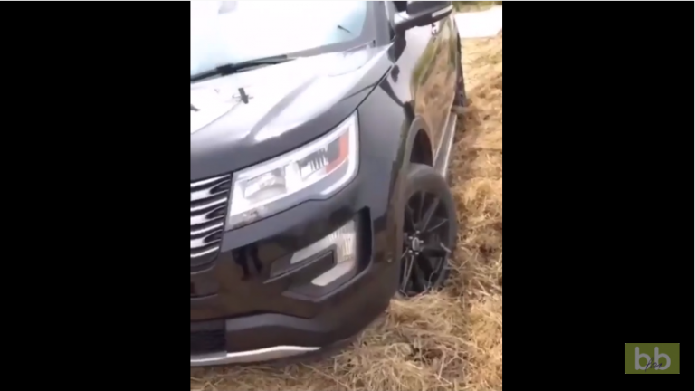 Il fait une grosse erreur en voulant débloquer sa voiture coincée dans la paille