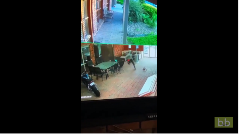 Des cambrioleurs d’une maison tombent sur le propriétaire et passent un sale moment