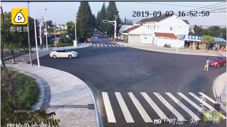 Un chiot est plus prudent qu’un piéton pour traverser une rue en Chine
